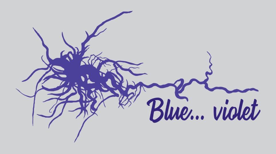 Blue...Violet Apartment นาฟปลิโอ ภายนอก รูปภาพ